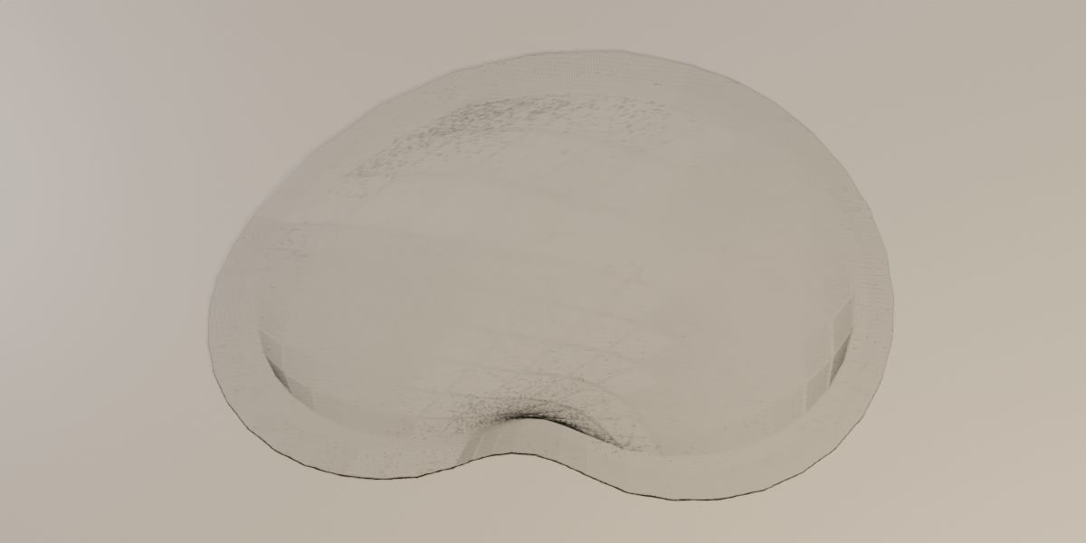 Celestial Carpet 3D model_15