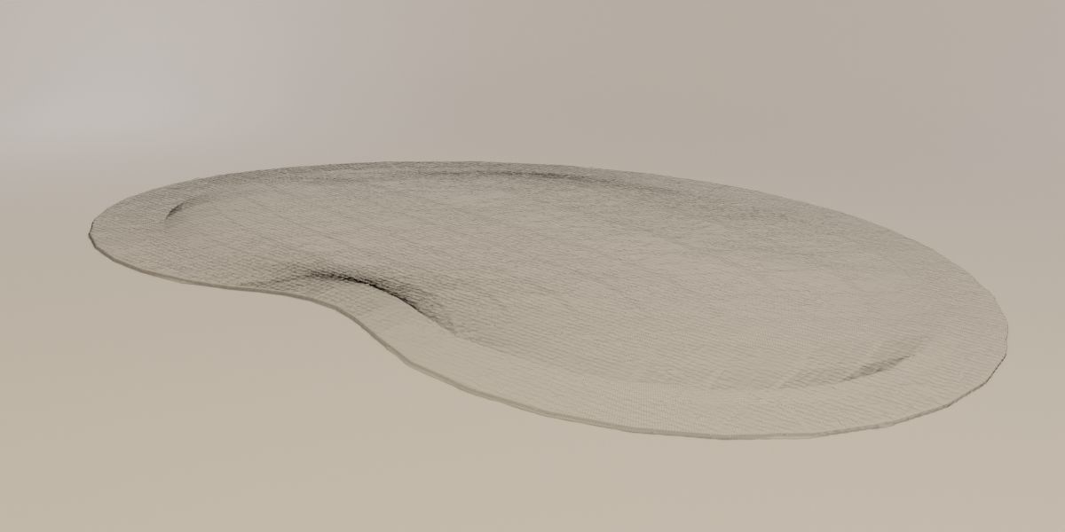 Celestial Carpet 3D model_13