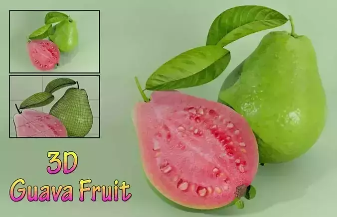 Guava Fruit 3D