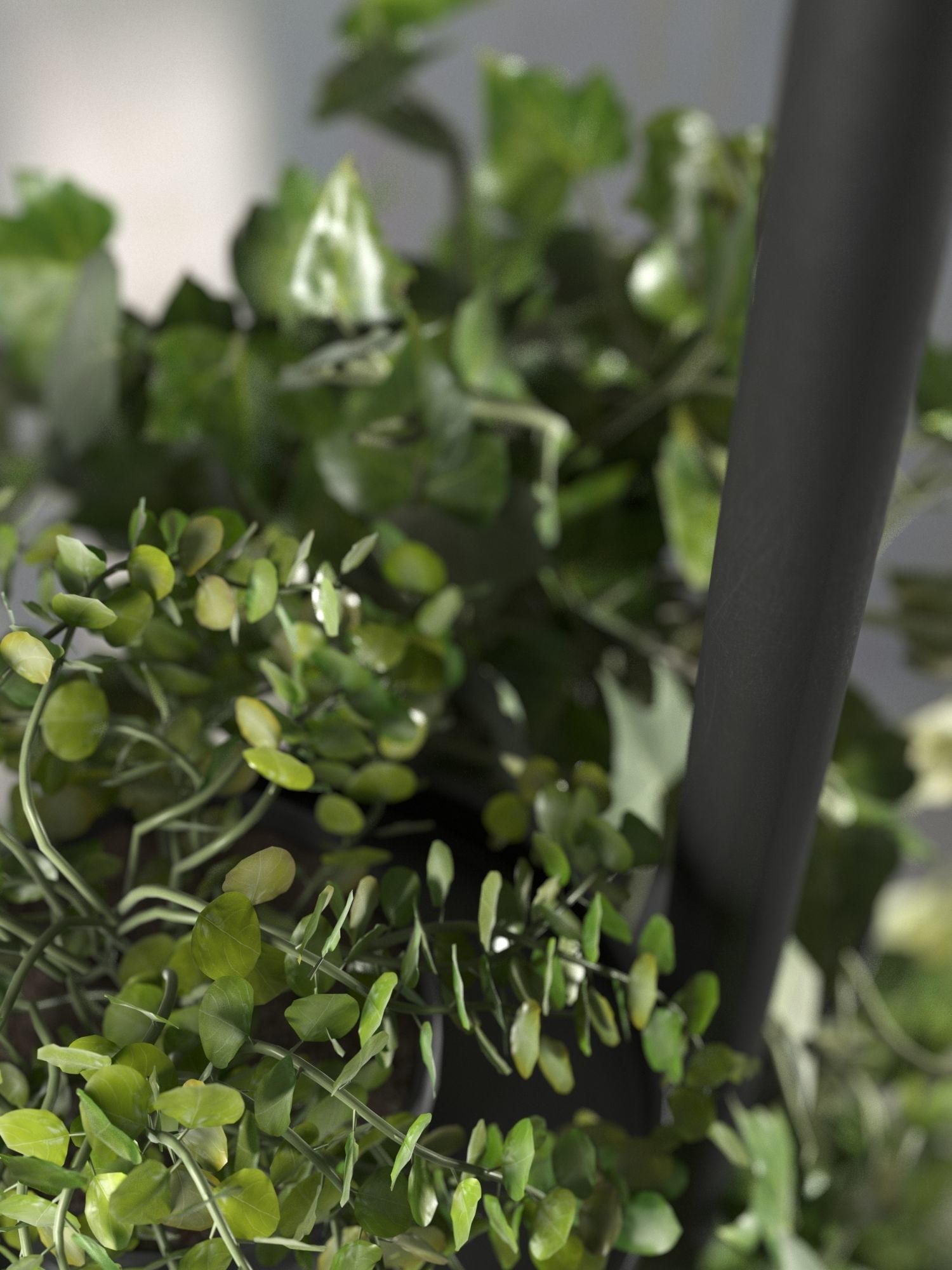 Cactus Holder with Plants 3D model_2