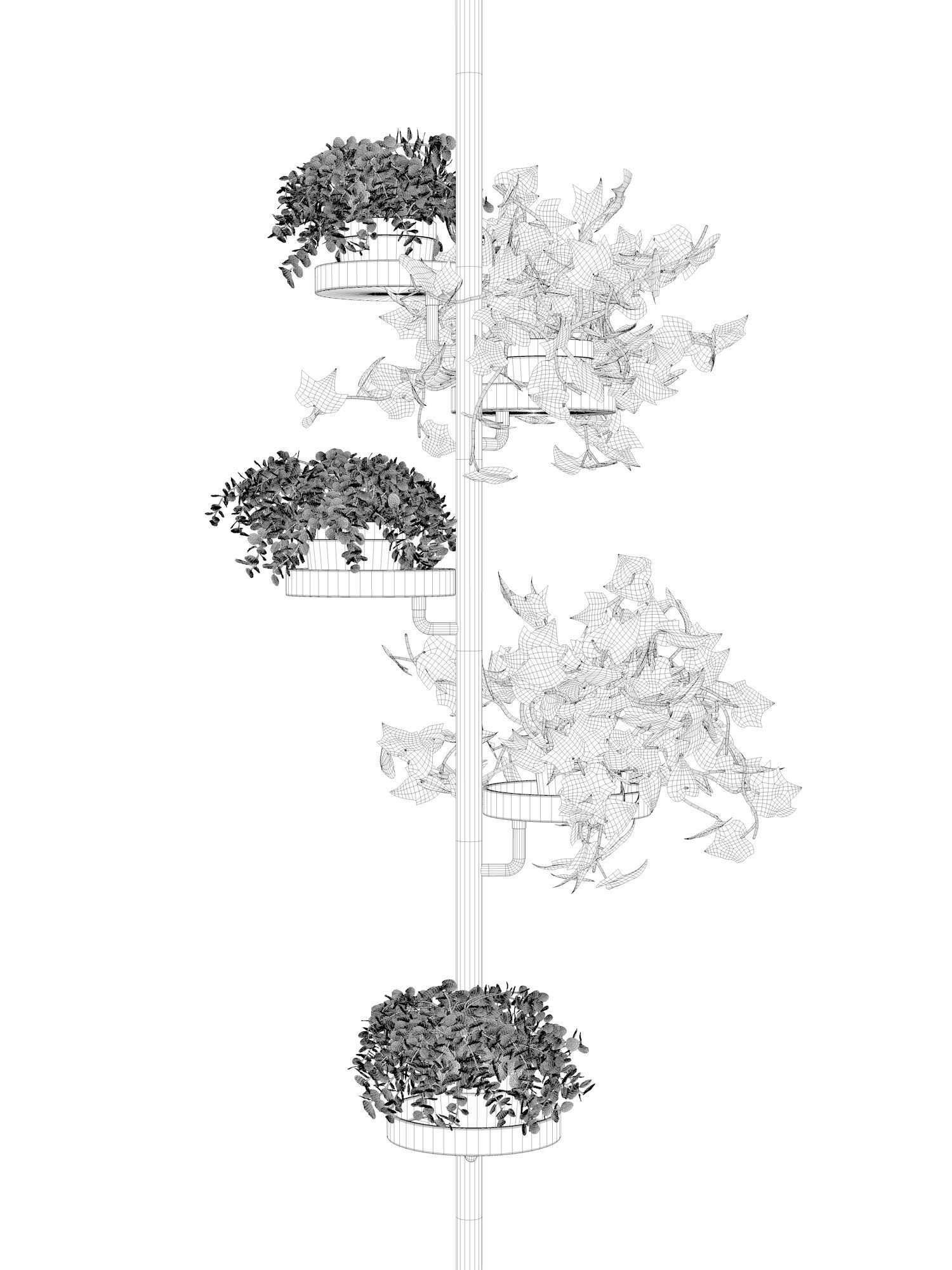 Cactus Holder with Plants 3D model_3