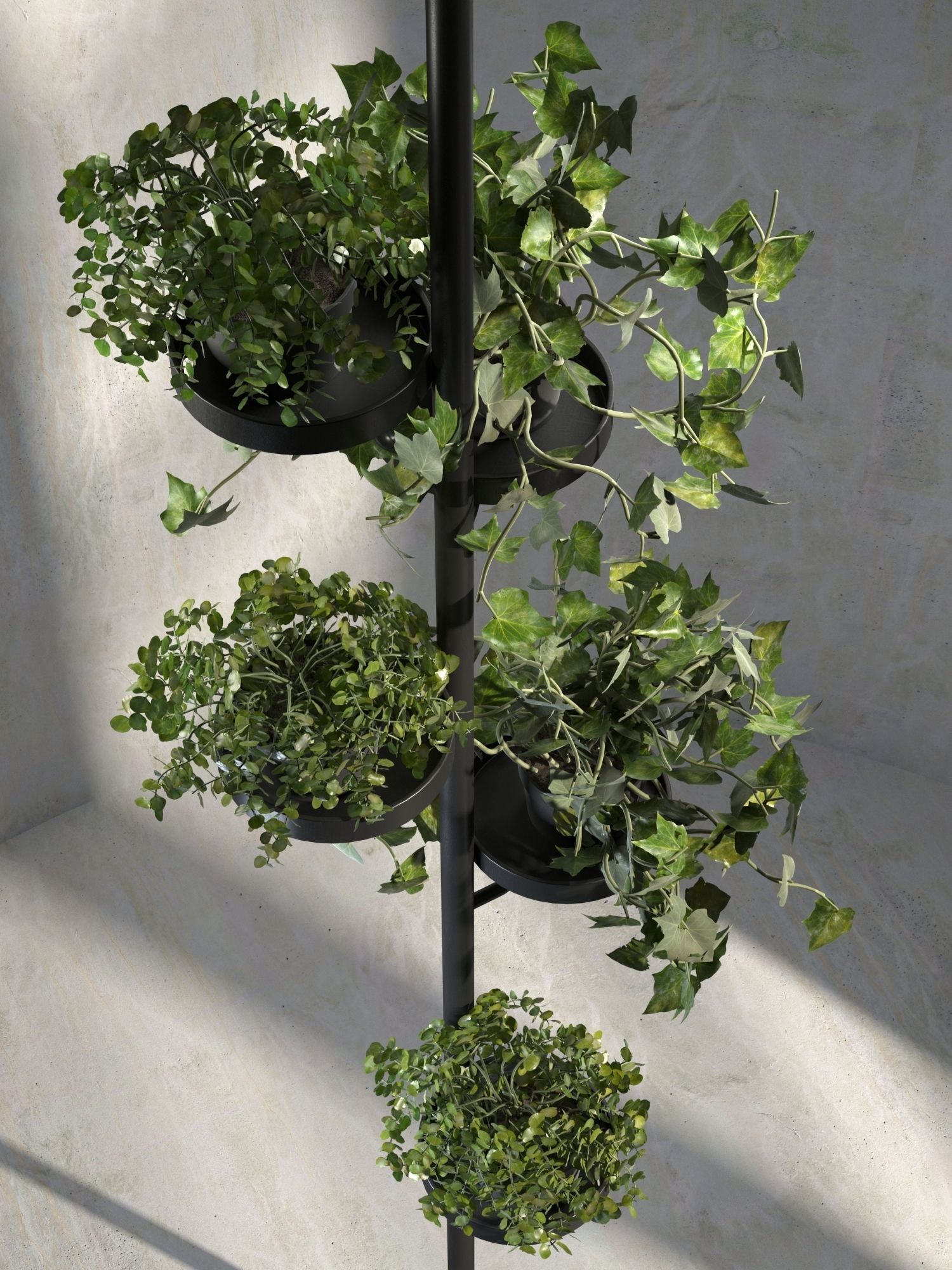 Cactus Holder with Plants 3D model_1