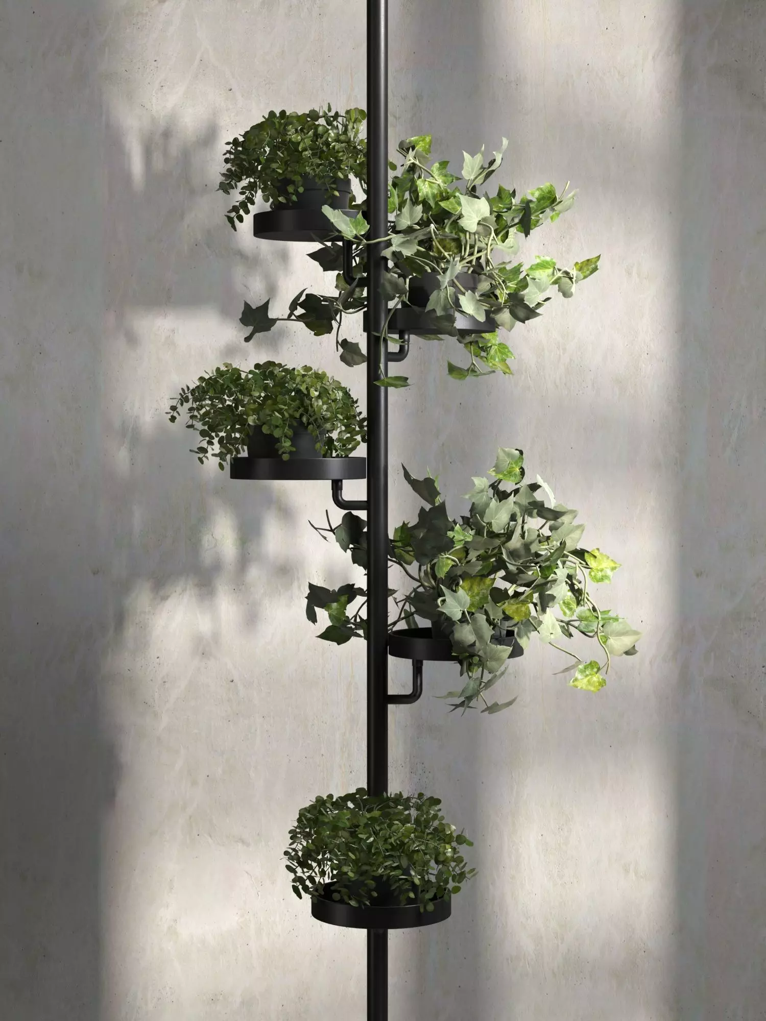 Cactus Holder with Plants 3D model_0