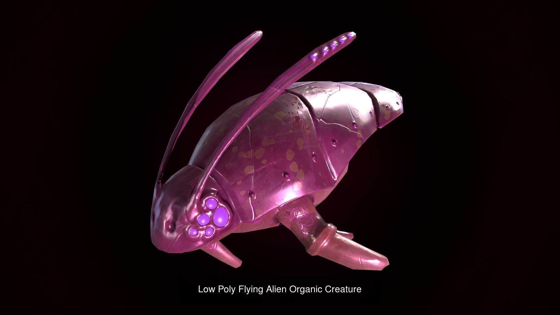 Low Poly Flying Aquatic Aliens Bundle 3D Model Collection_5