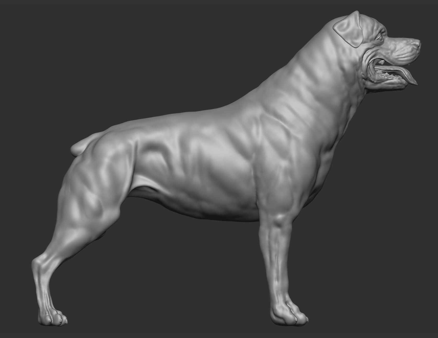 Rottweiler Full body  3D print model_3