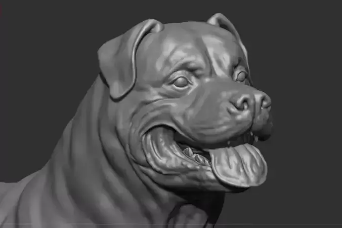 Rottweiler Full body  3D print model