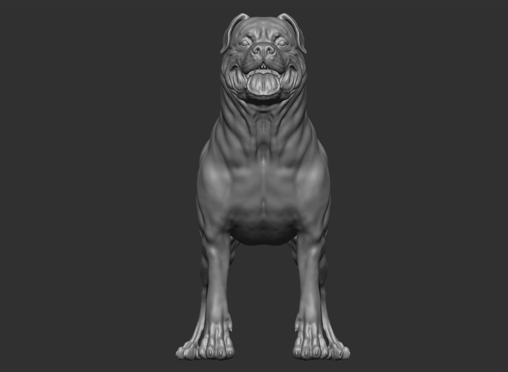Rottweiler Full body  3D print model_2