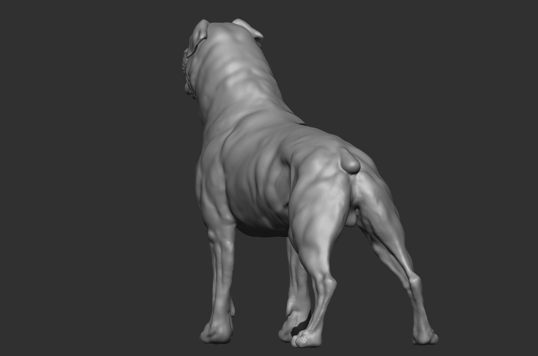 Rottweiler Full body  3D print model_4
