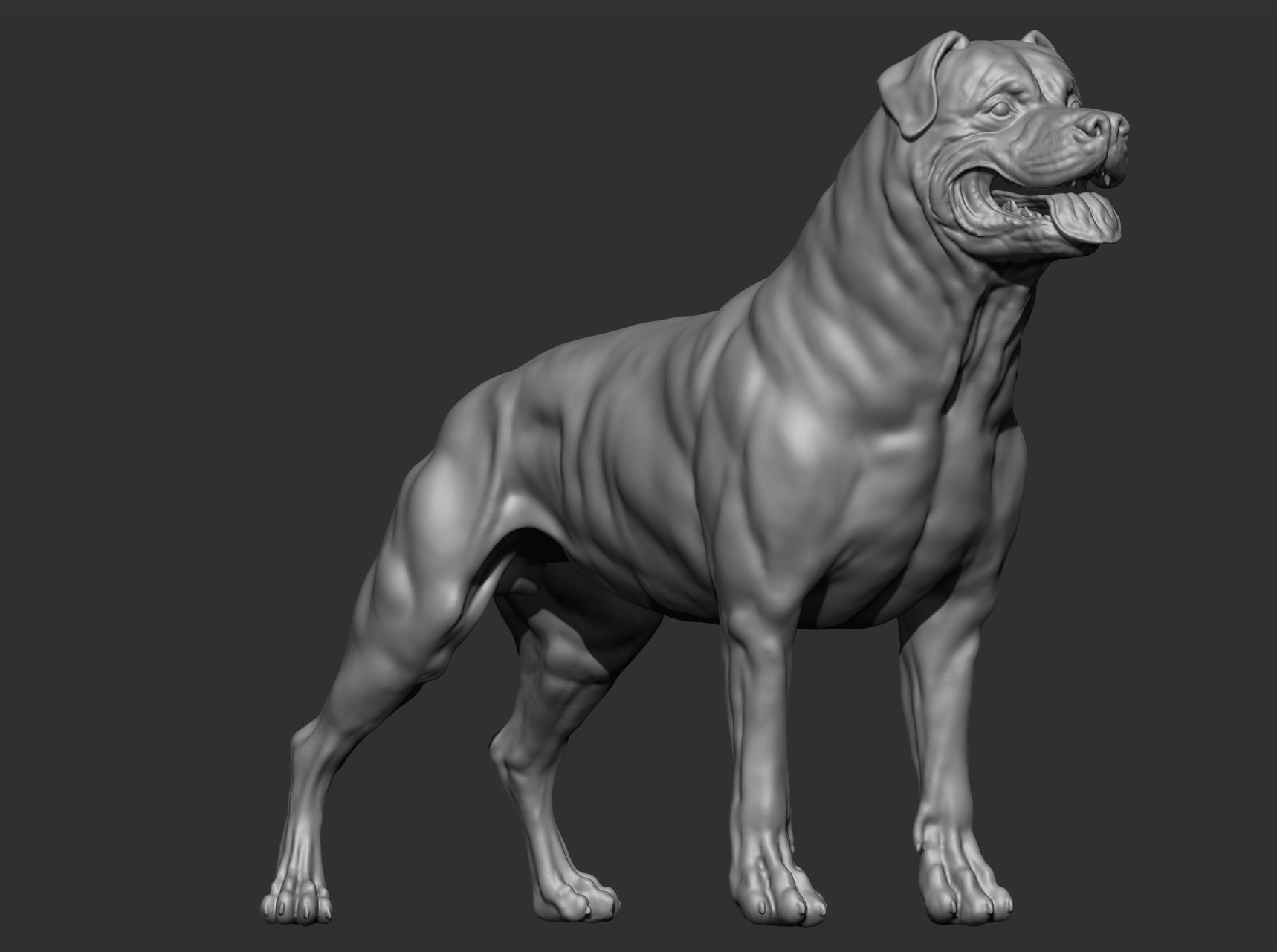Rottweiler Full body  3D print model_1
