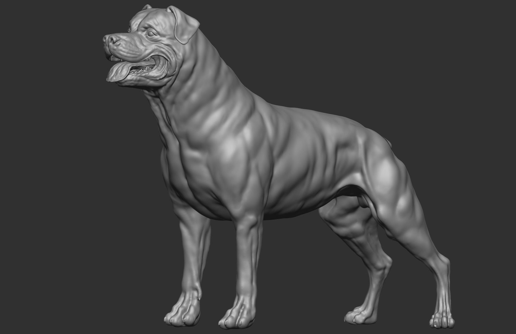 Rottweiler Full body  3D print model_5