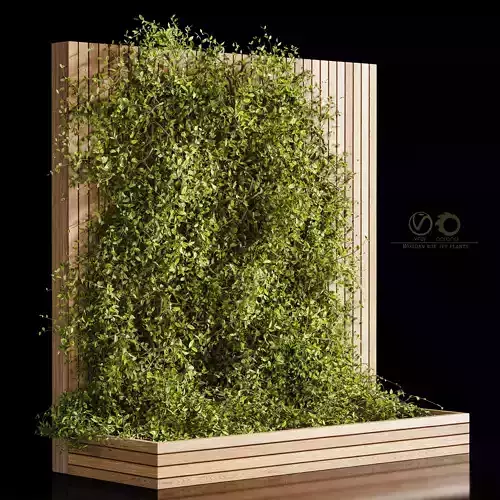 Wooden box ivy plants 01 3D model