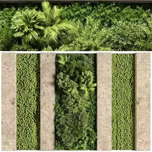 Concrete and vertical garden 05