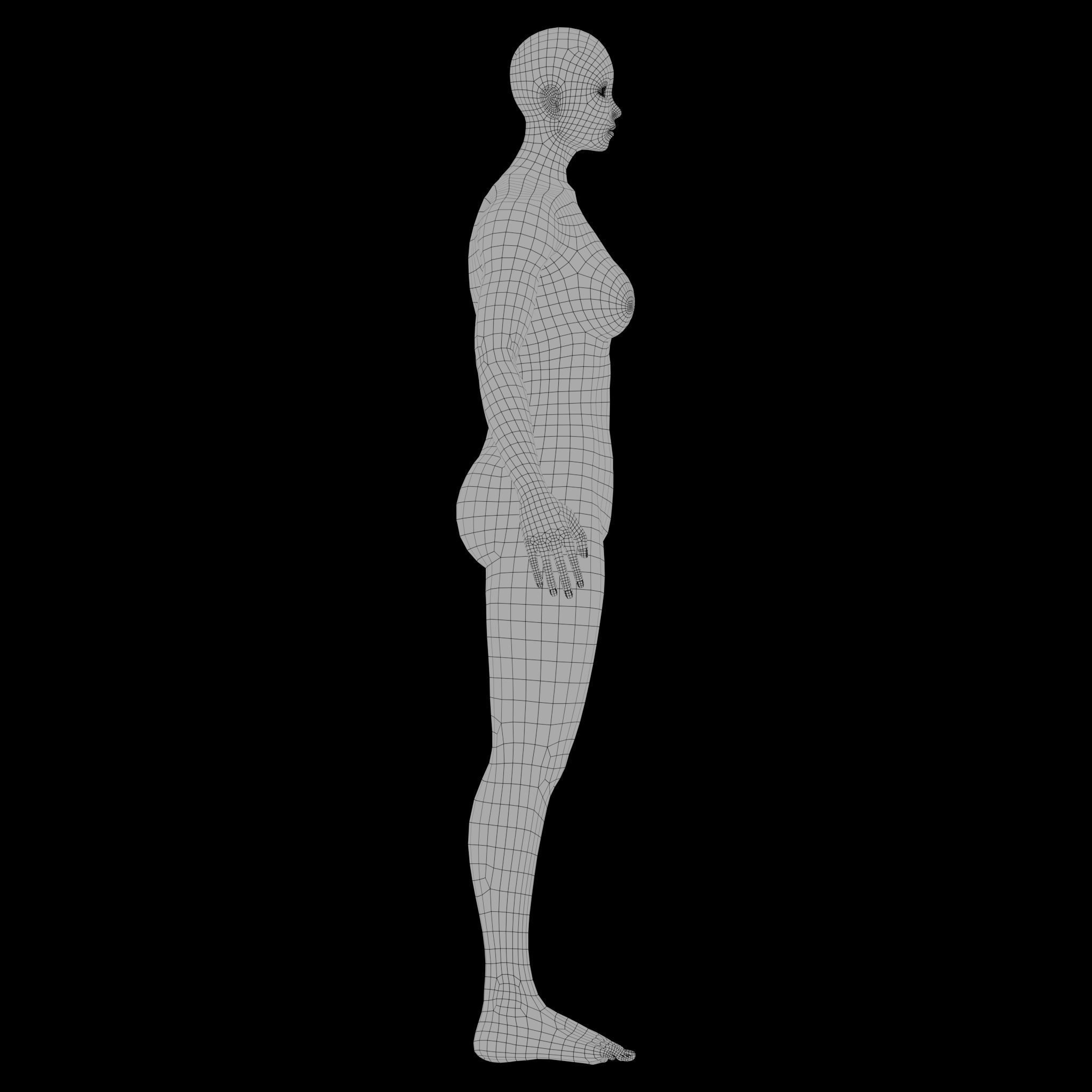 Female Basemesh with Rigging Low-poly 3D model_7