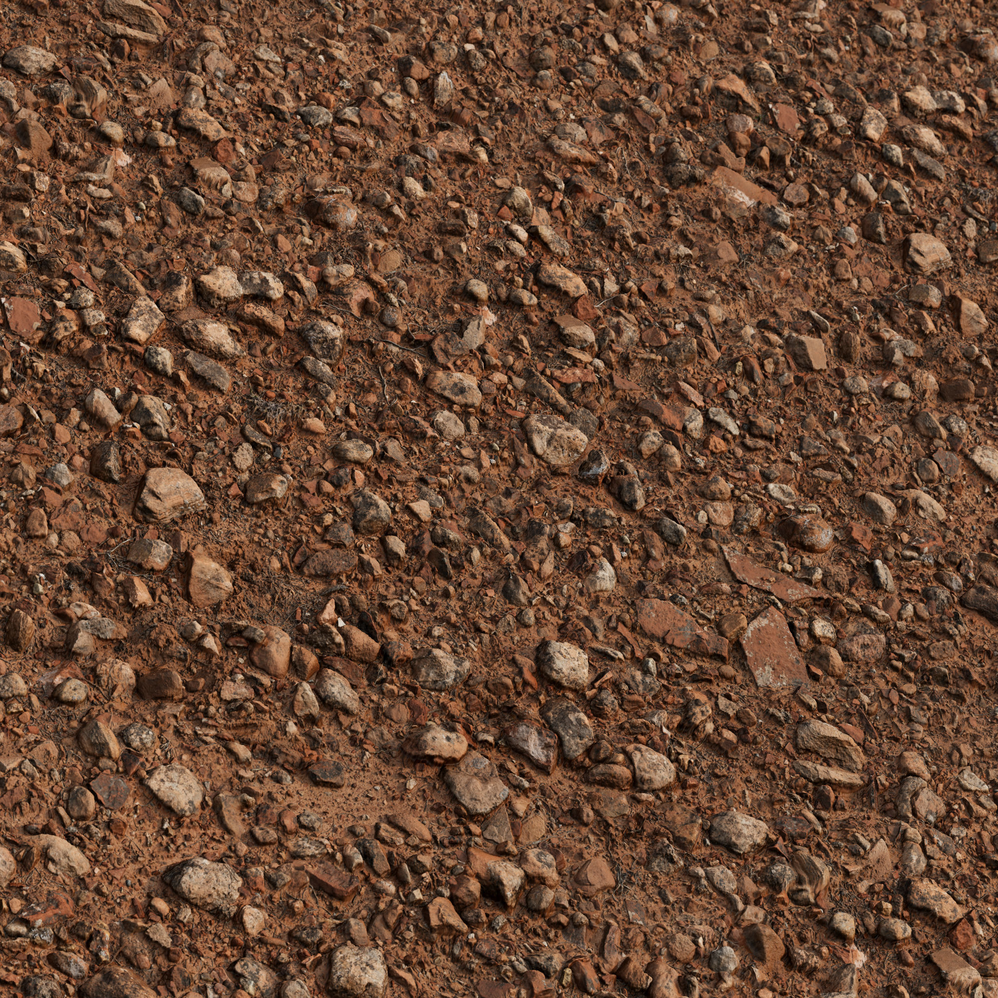 Rocky Arid Ground 01 Texture_2