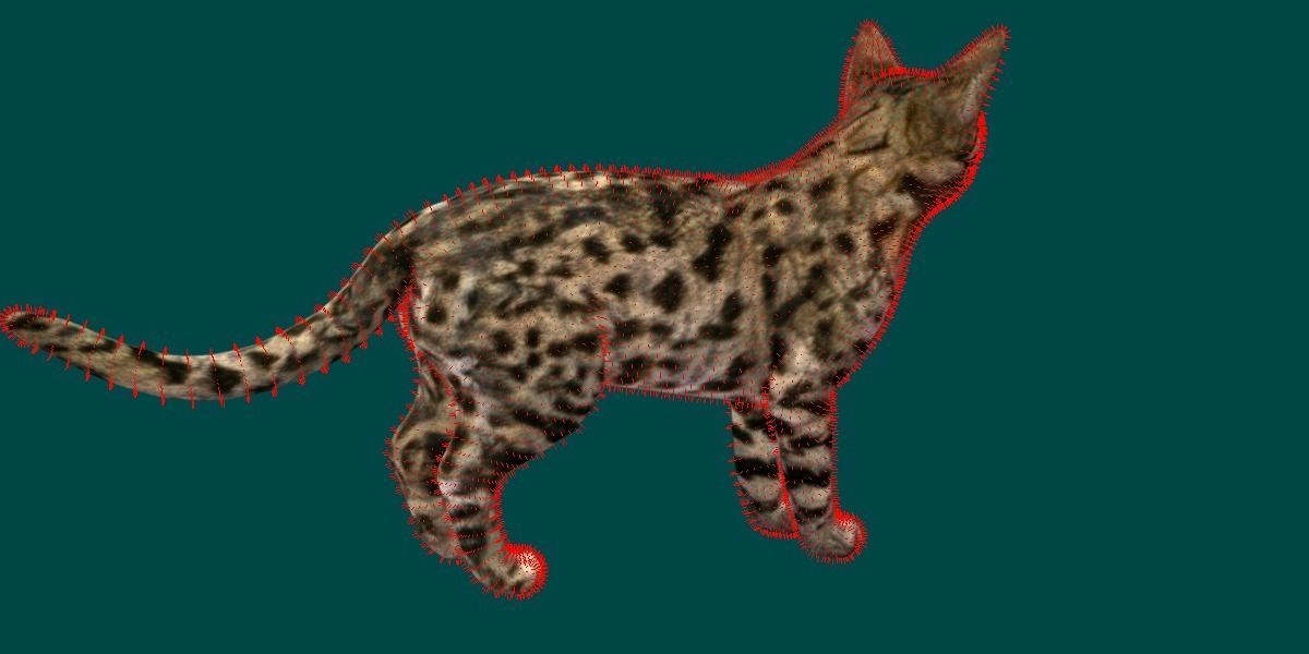 Black Spotted Cat 3D model_12