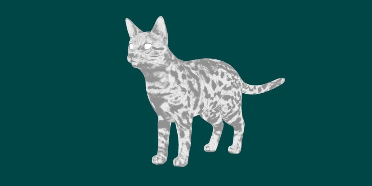 Black Spotted Cat 3D model_8