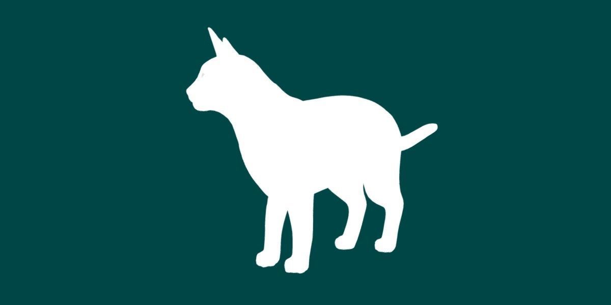 Black Spotted Cat 3D model_6