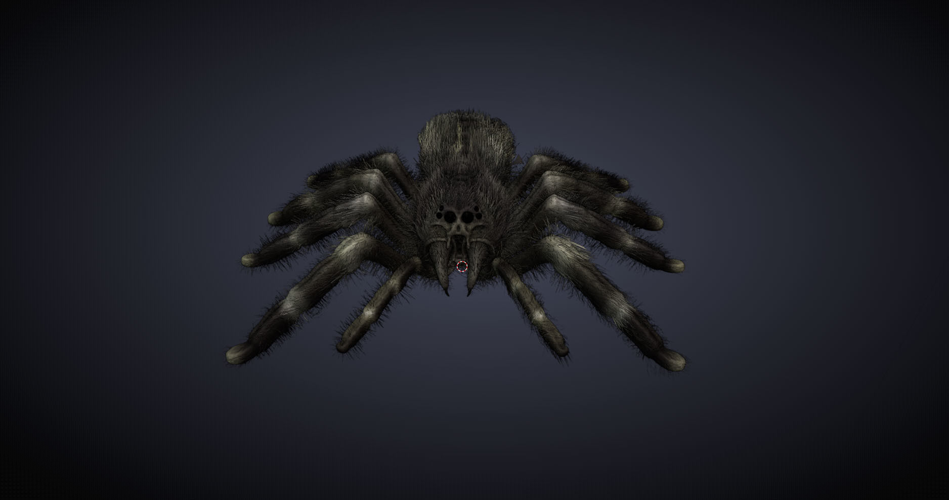 Psalmopoeus Cambridgei 3D model_6