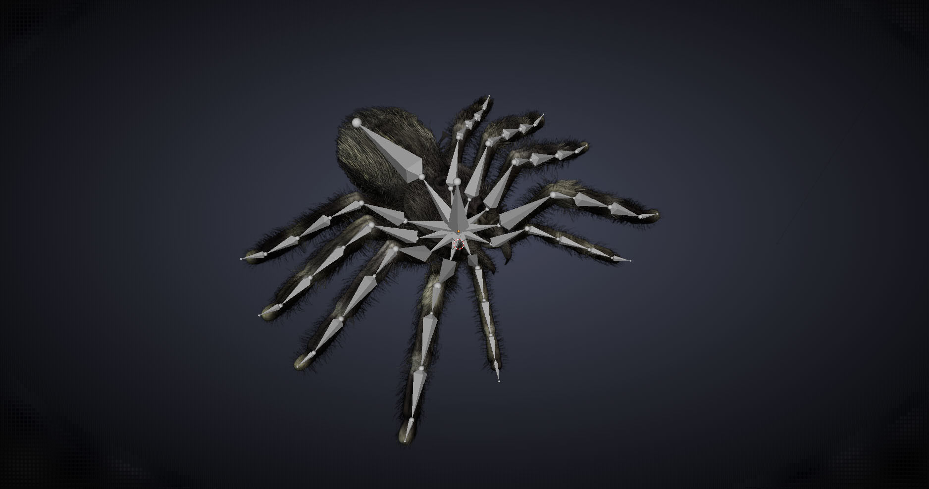 Psalmopoeus Cambridgei 3D model_12