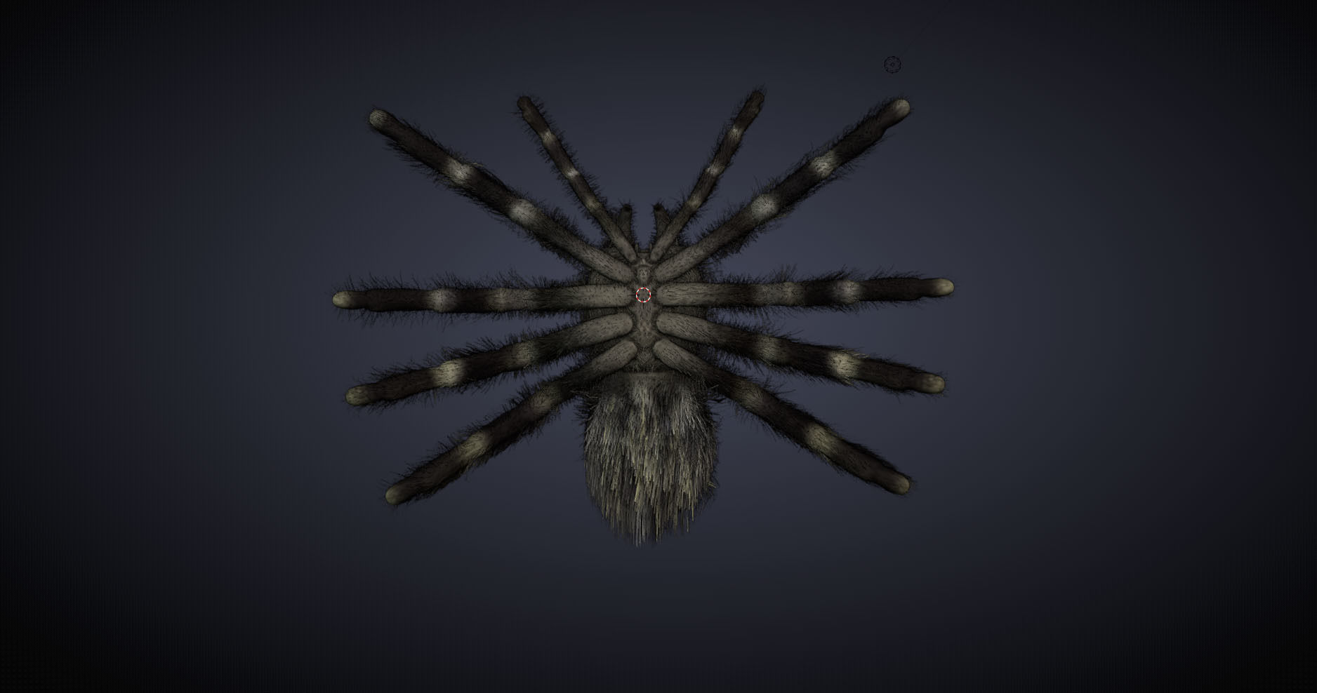 Psalmopoeus Cambridgei 3D model_10