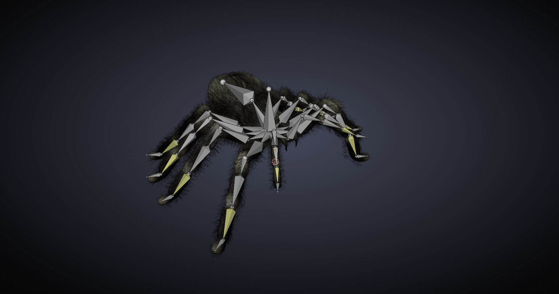 Psalmopoeus Cambridgei 3D model_13