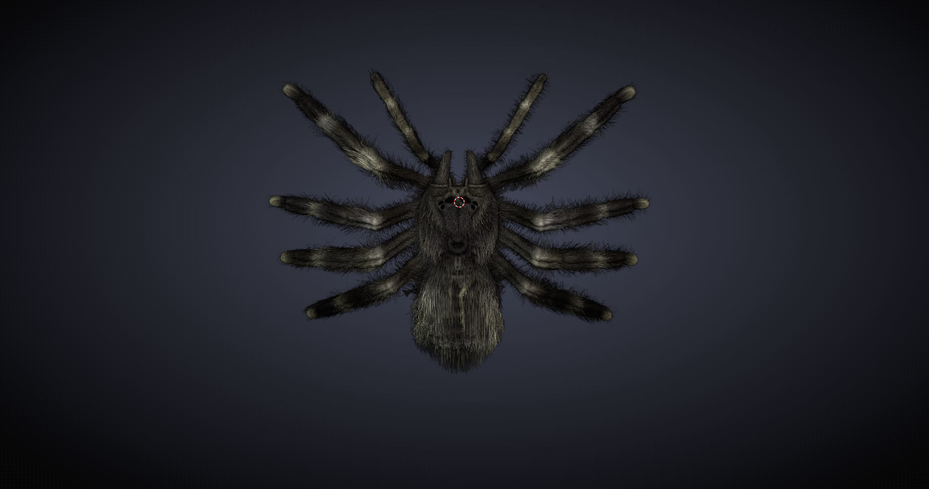 Psalmopoeus Cambridgei 3D model_11