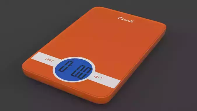 Digital Scale 3D model