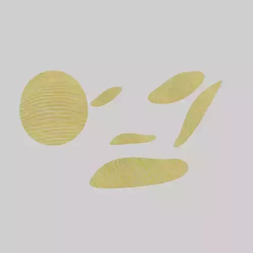 potato chip pieces Low-poly 3D model