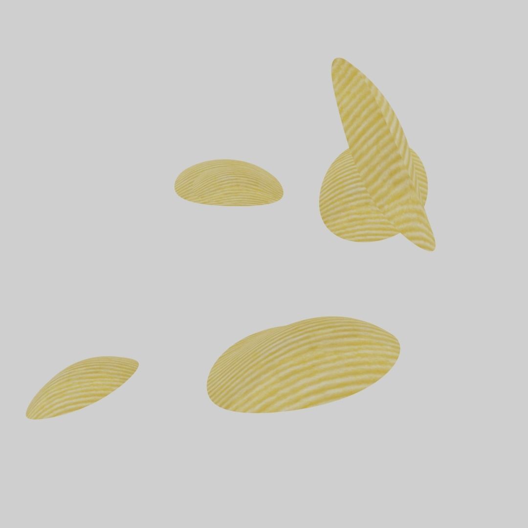 potato chip pieces Low-poly 3D model_9