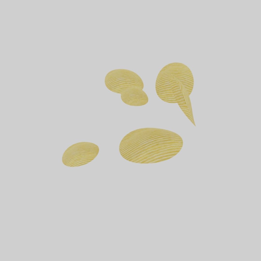 potato chip pieces Low-poly 3D model_8