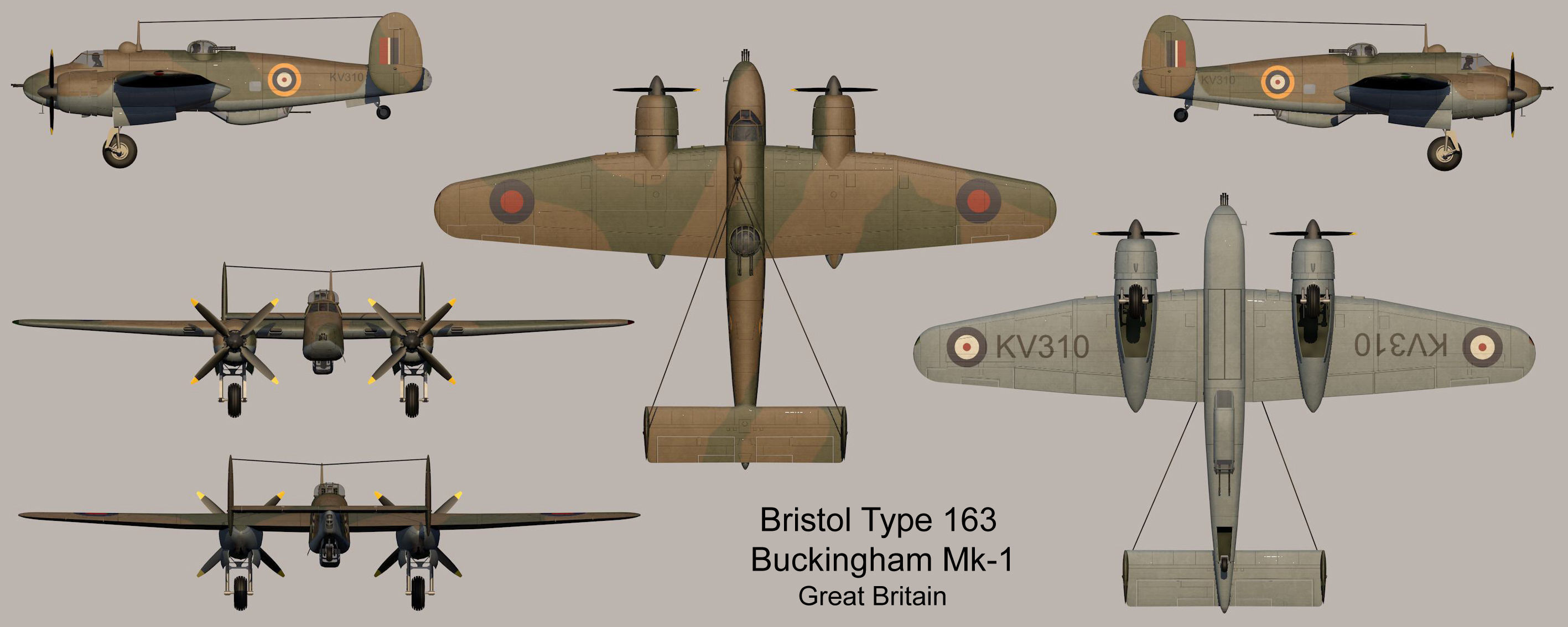 Bristol Type 163 Buckingham Mk-1 3D model_13