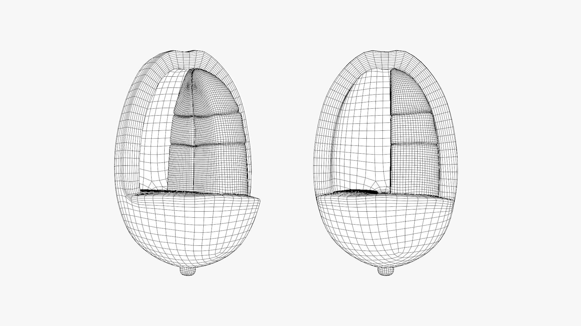 Anatomy of the Coffee Fruit Low-poly 3D model_12
