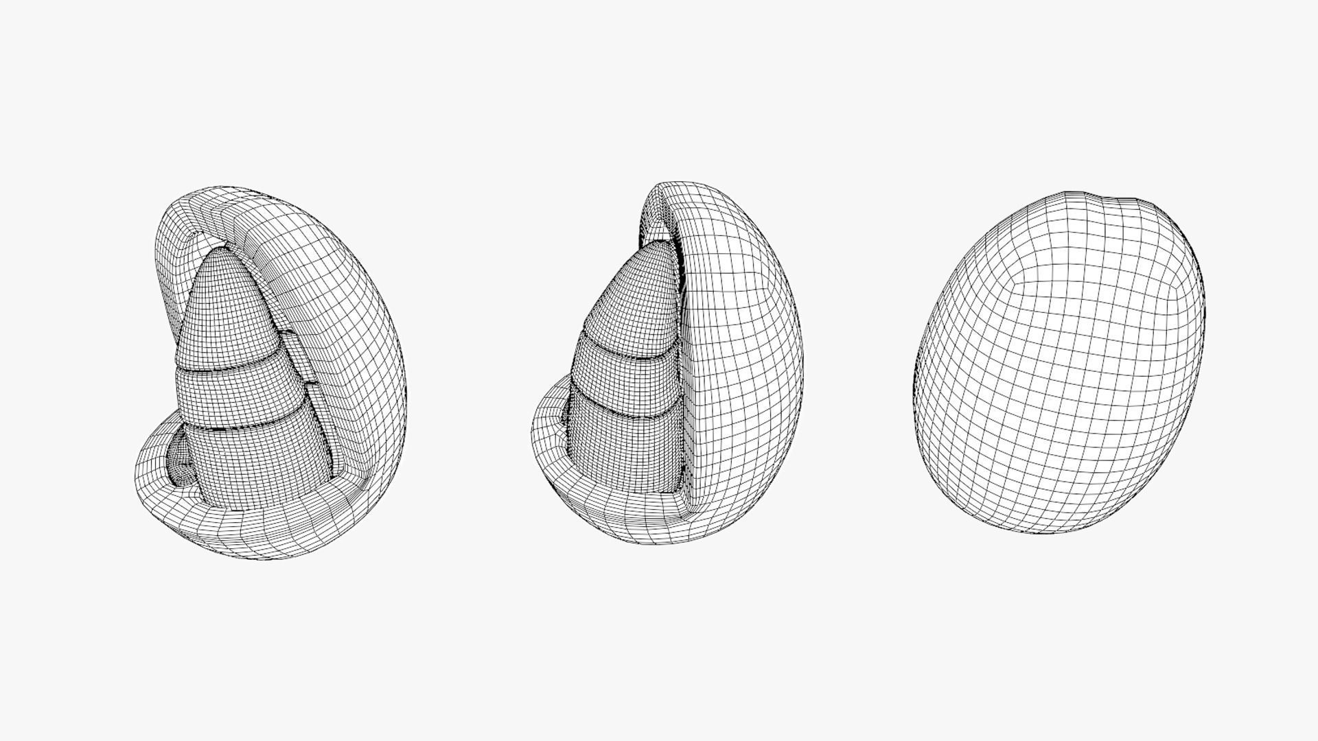 Anatomy of the Coffee Fruit Low-poly 3D model_10