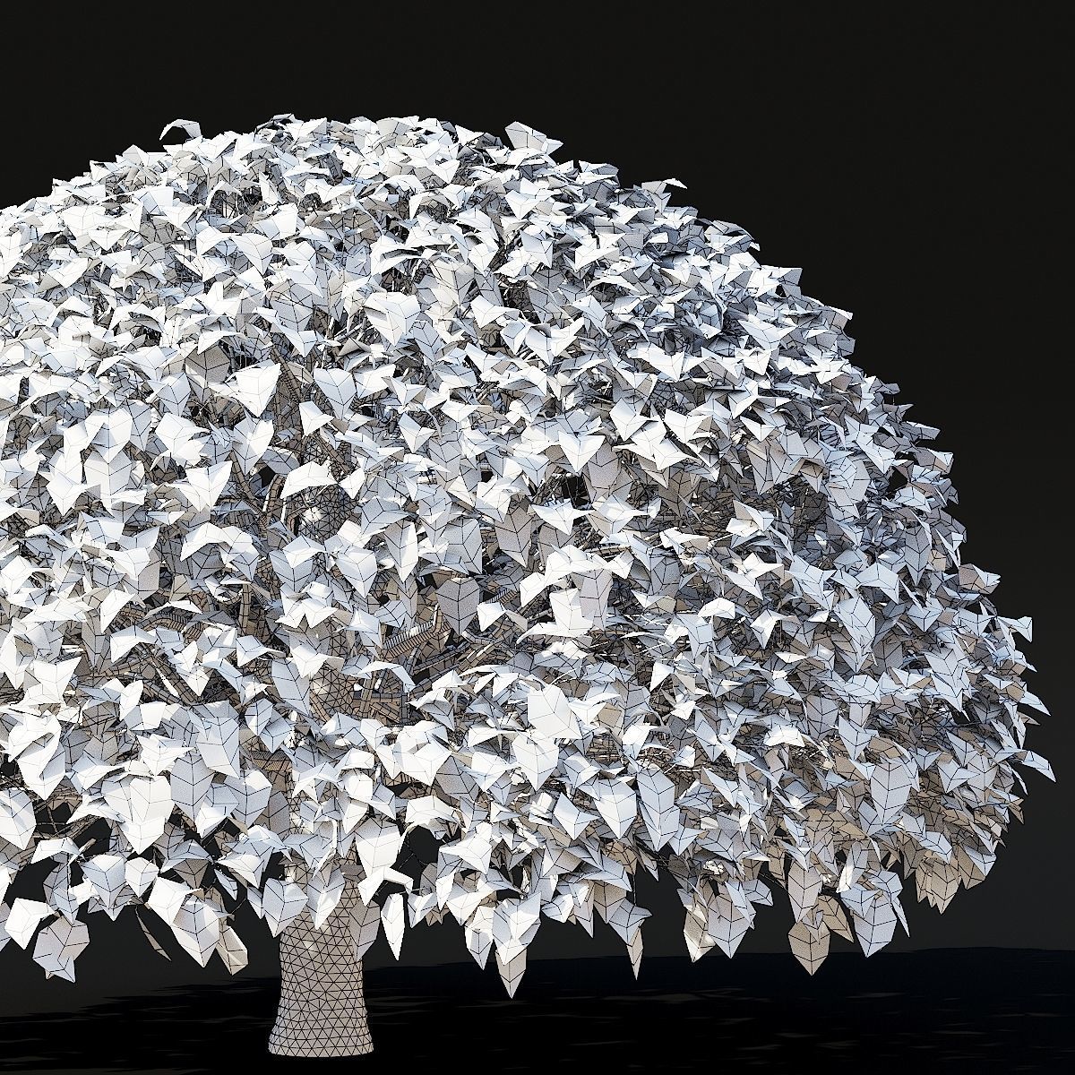 Fagus sylvatica ball 3D model_5