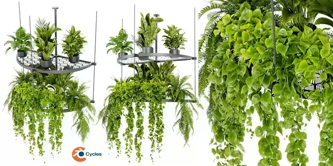 Collection plant vol 446 - blender model 