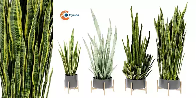 Collection plant vol 447 - blender model 