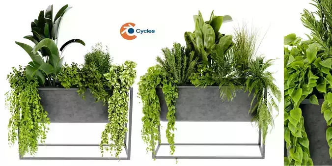 Collection plant vol 448 - blender model  3D model