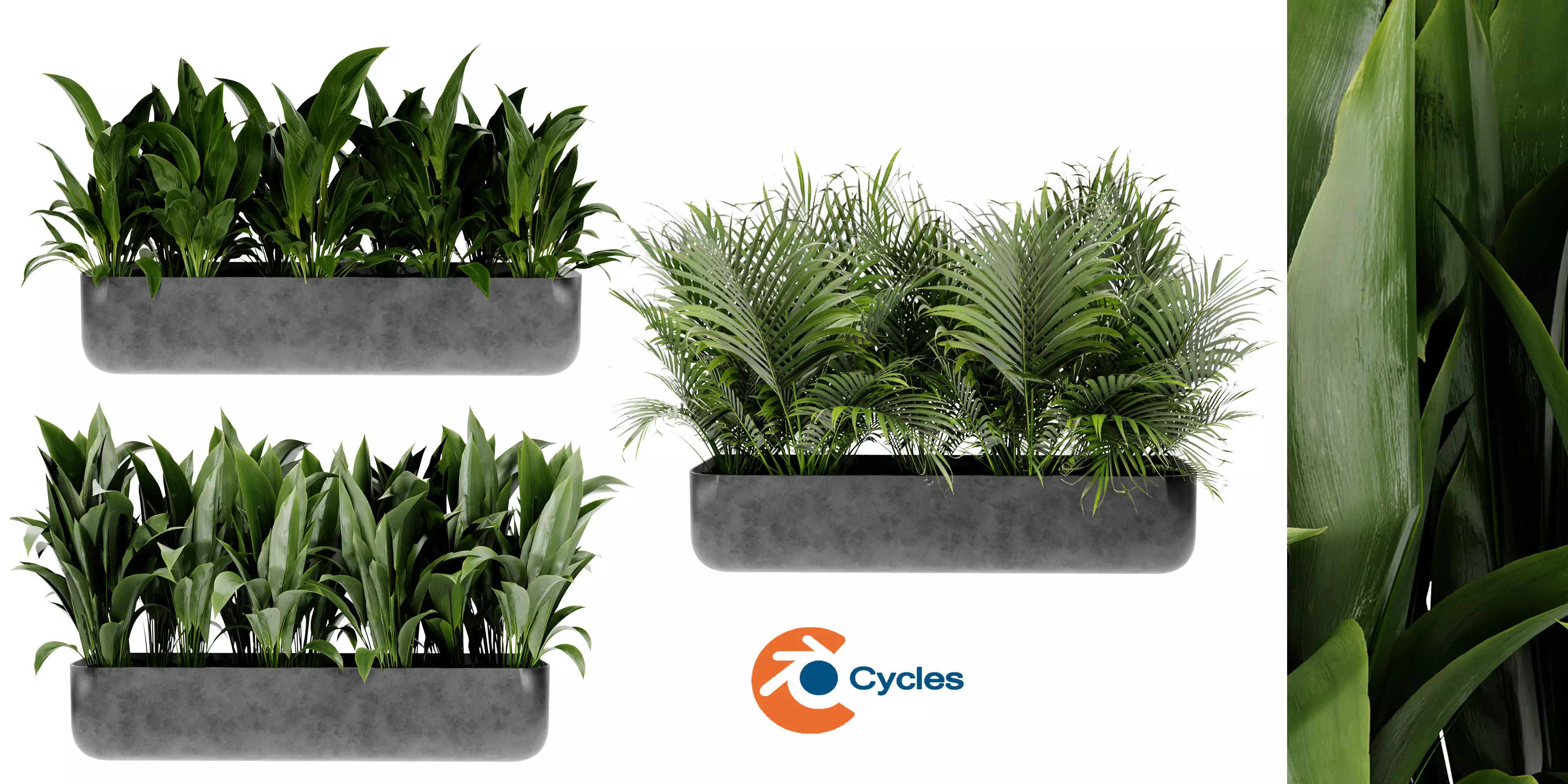 Collection plant vol 449 - blender model  3D model_0