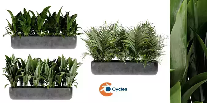 Collection plant vol 449 - blender model 