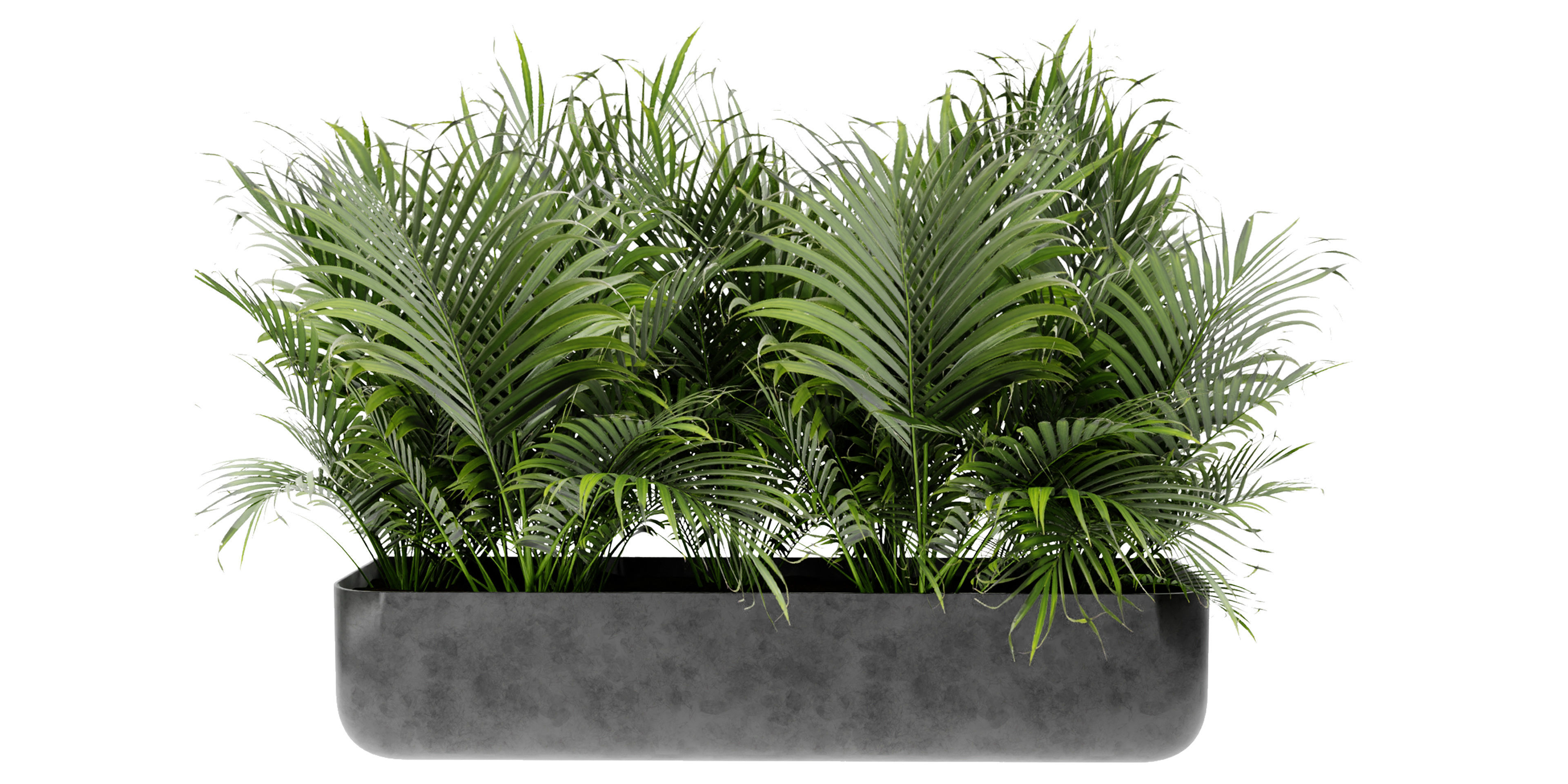 Collection plant vol 449 - blender model  3D model_3