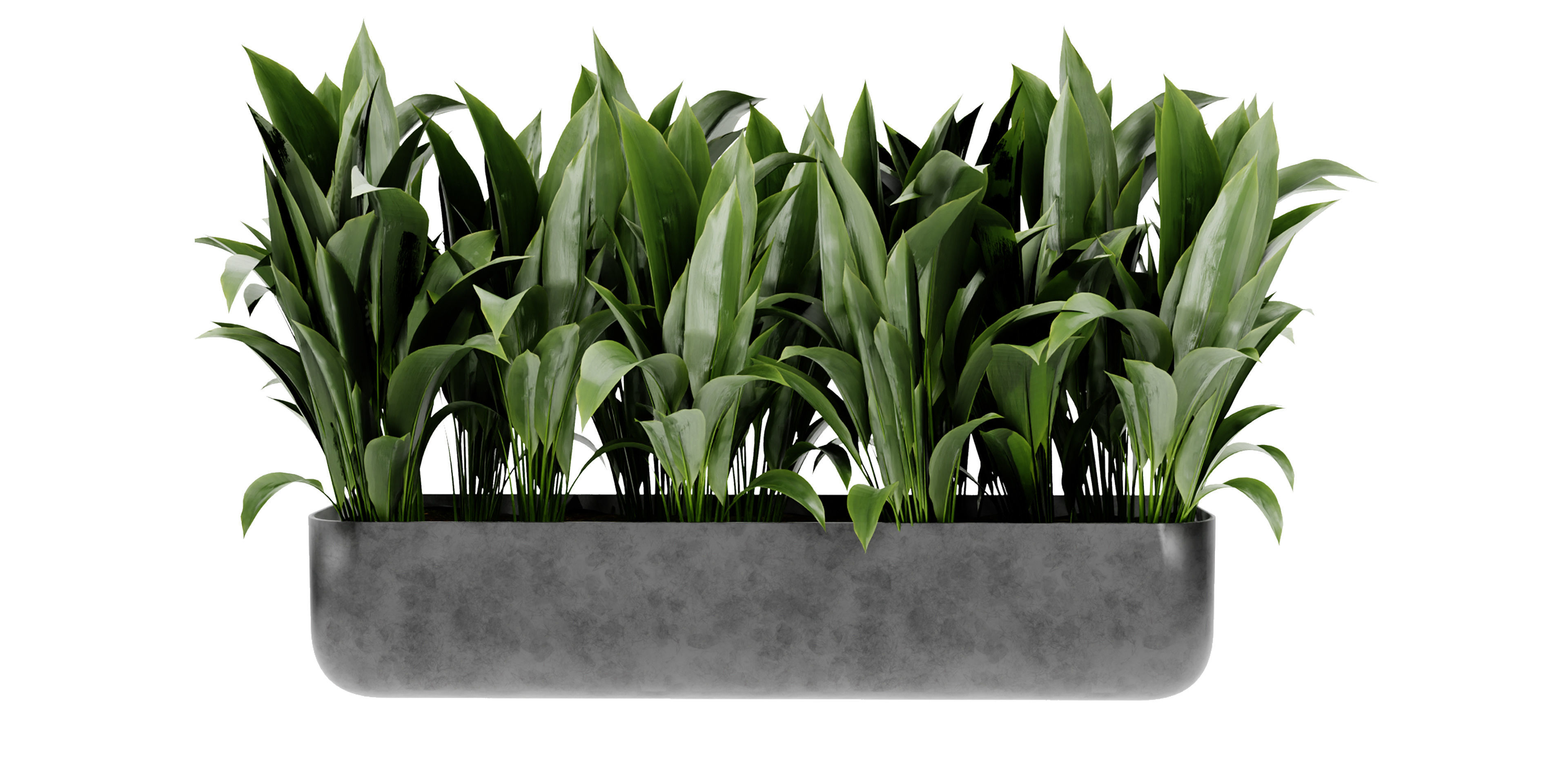 Collection plant vol 449 - blender model  3D model_2