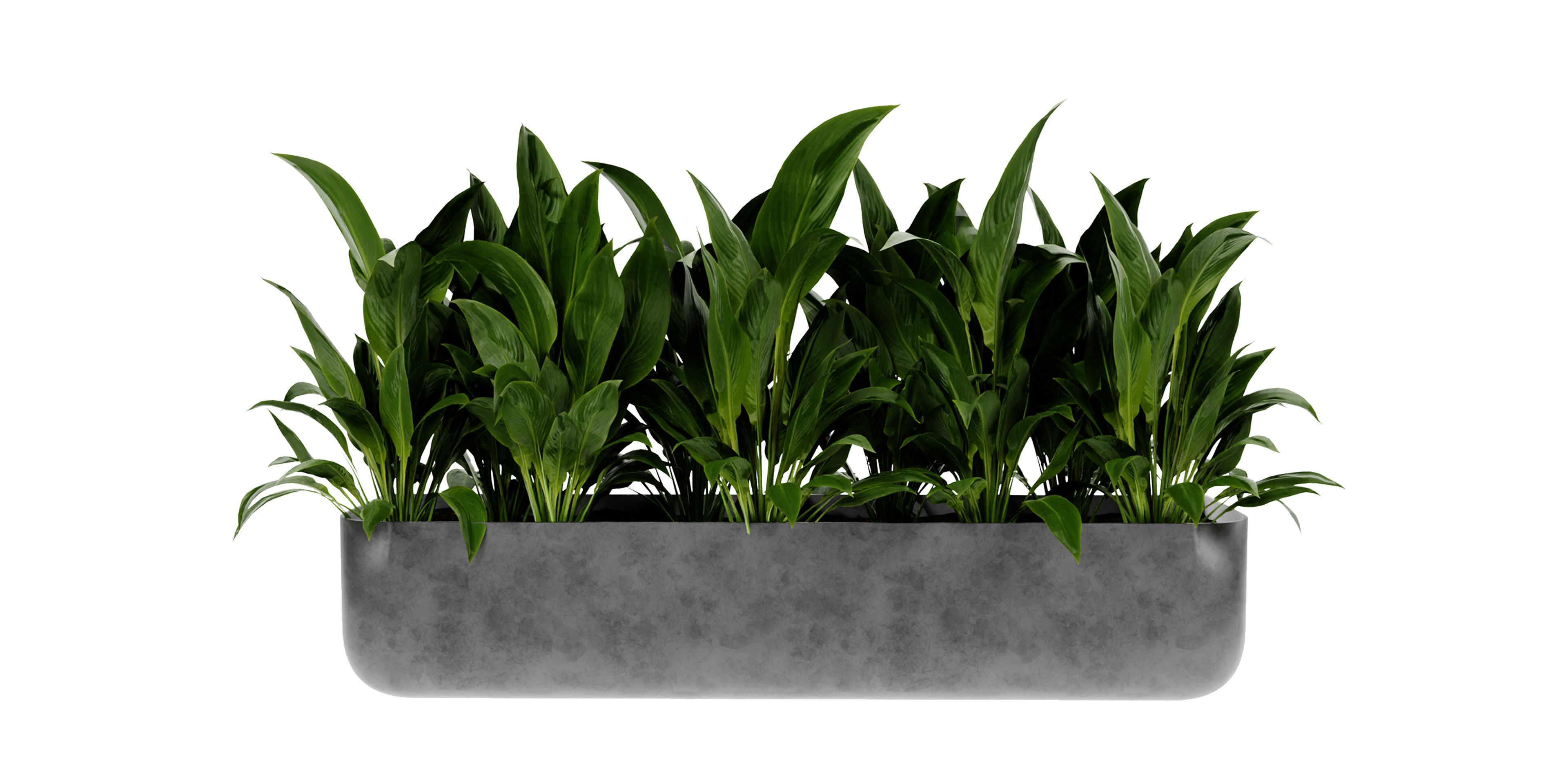 Collection plant vol 449 - blender model  3D model_1