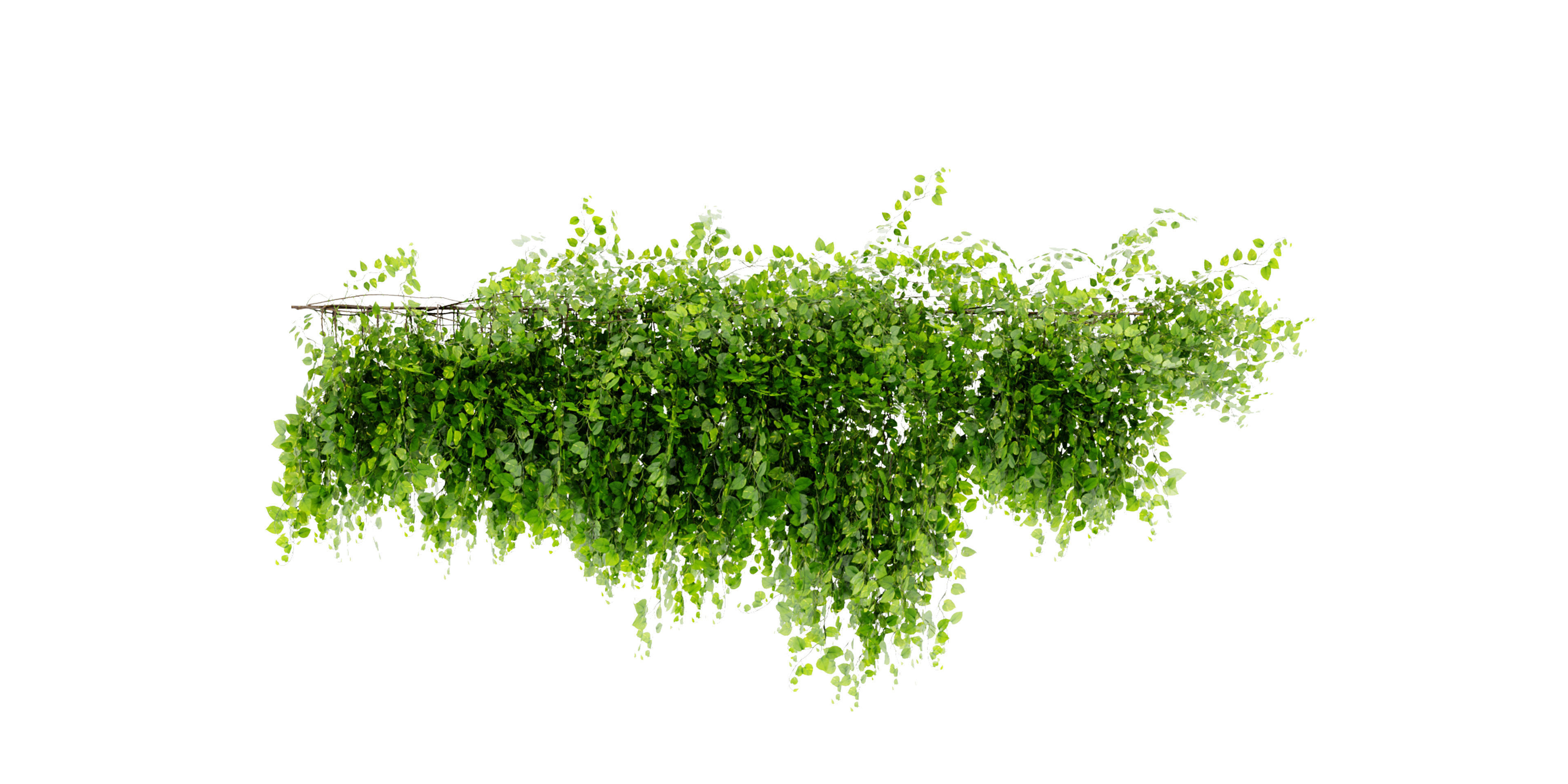  Collection plant vol 451 - blender model  3D model_6