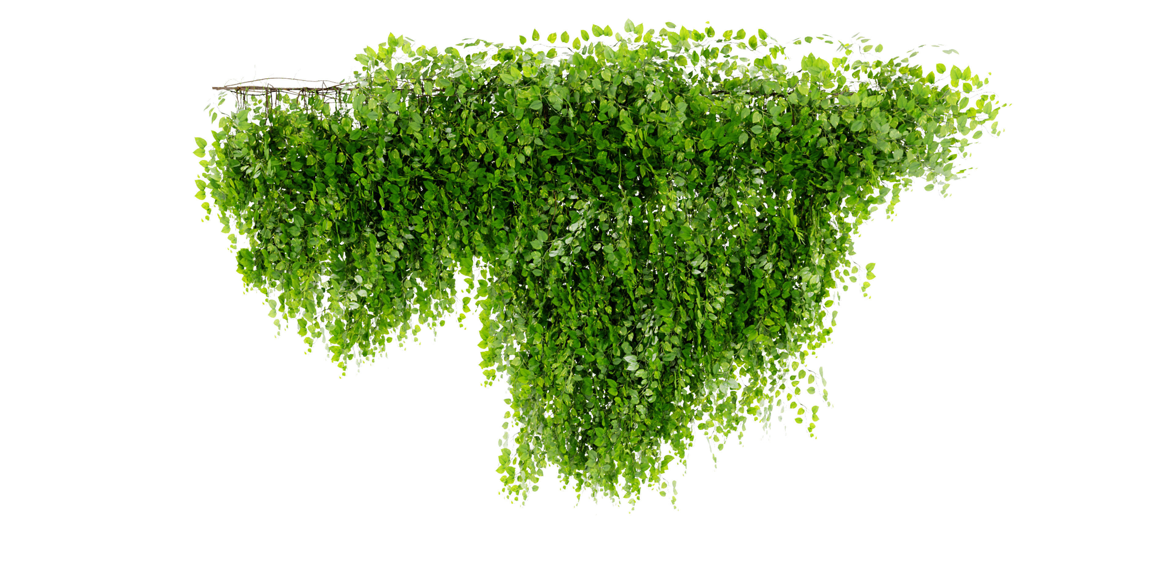  Collection plant vol 451 - blender model  3D model_2