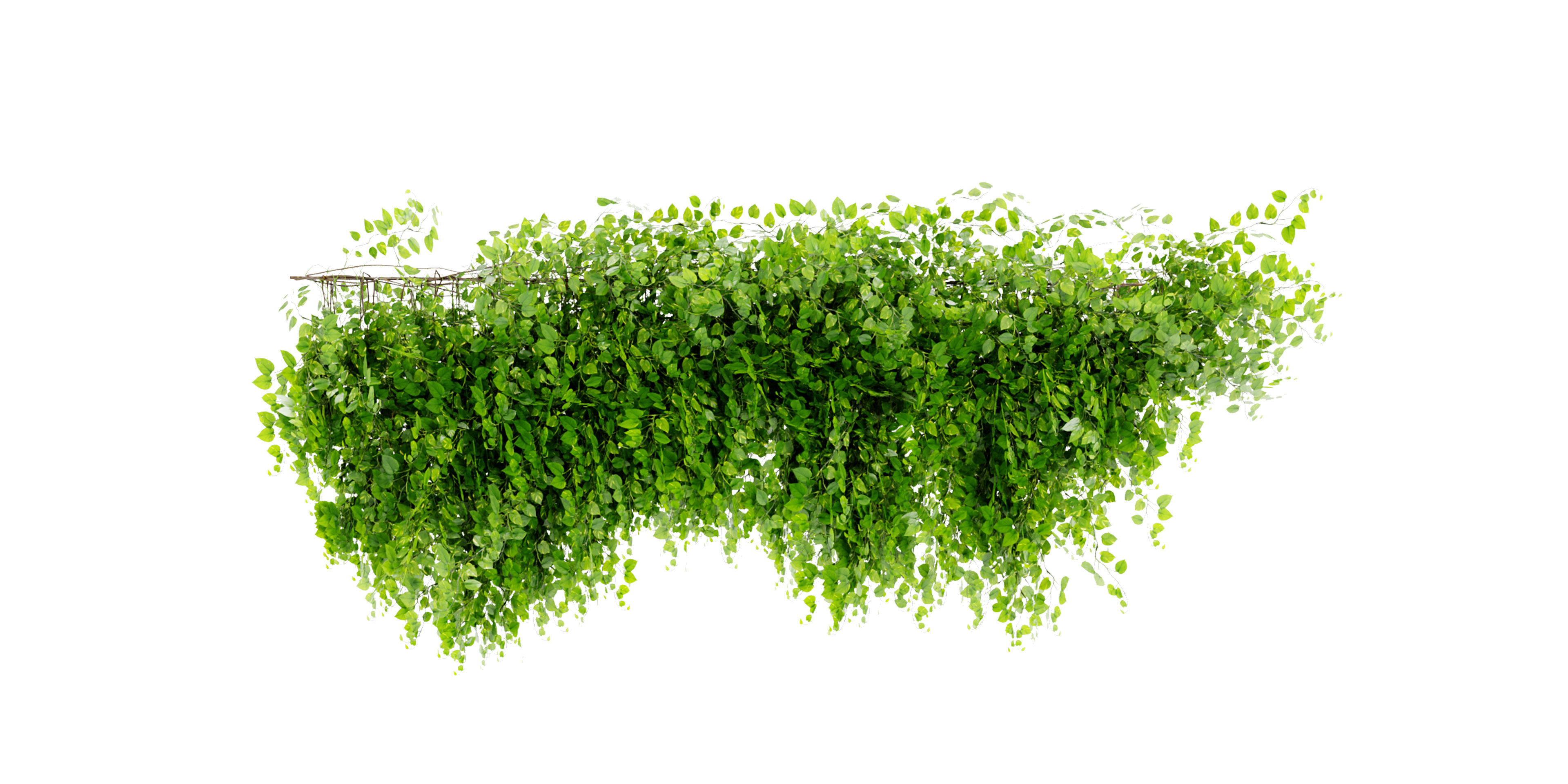  Collection plant vol 451 - blender model  3D model_3