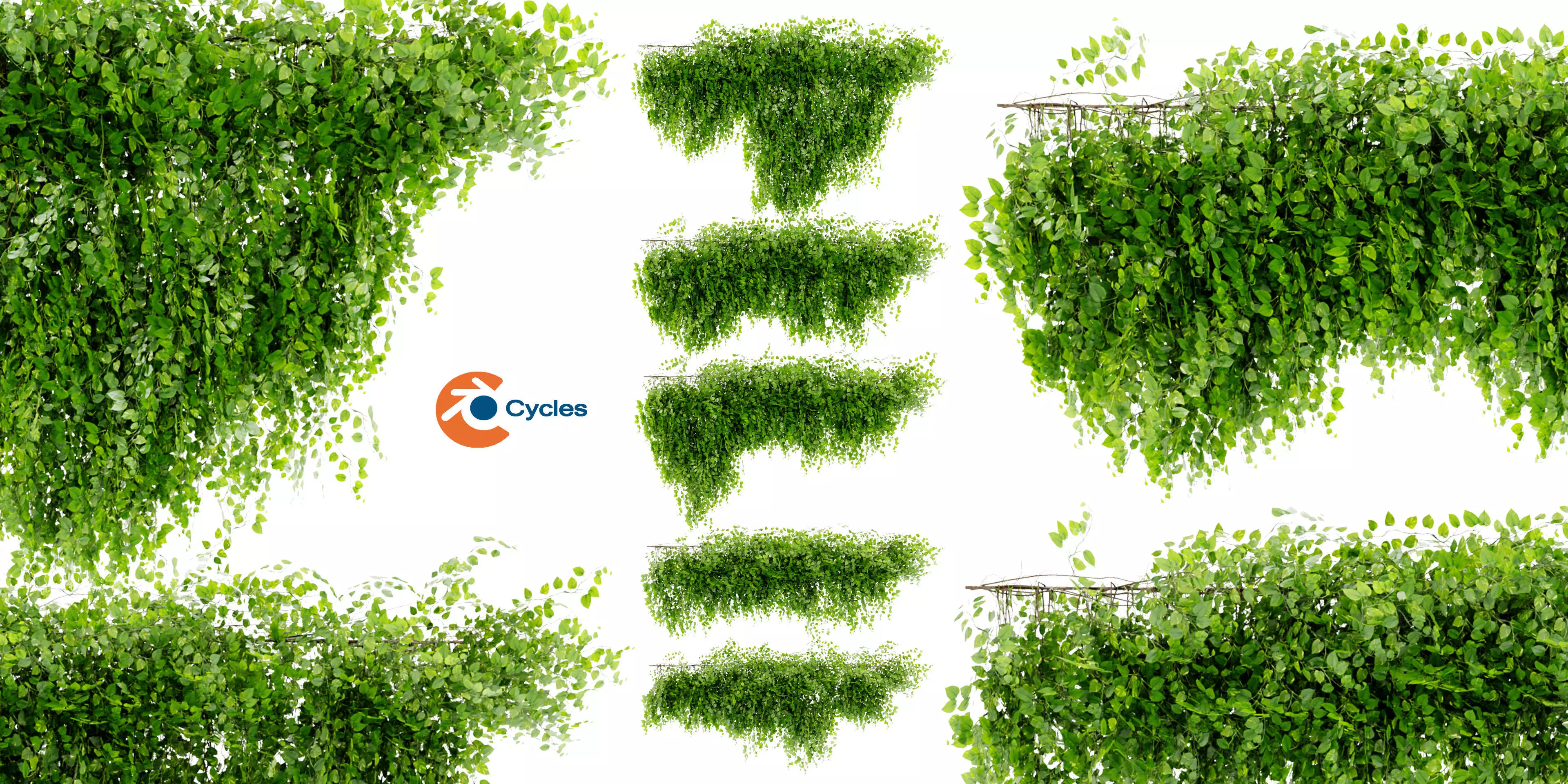  Collection plant vol 451 - blender model  3D model_0