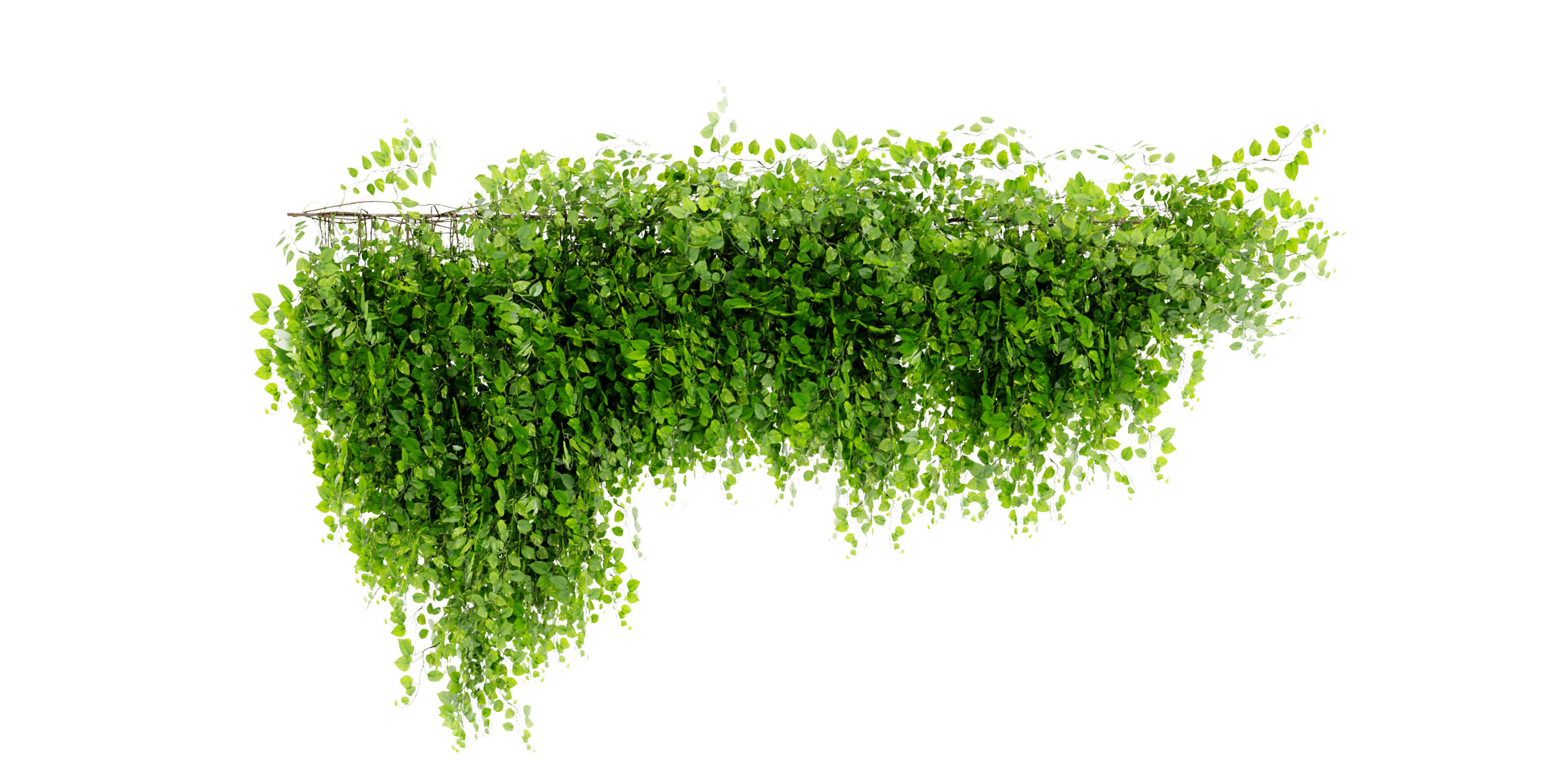  Collection plant vol 451 - blender model  3D model_4