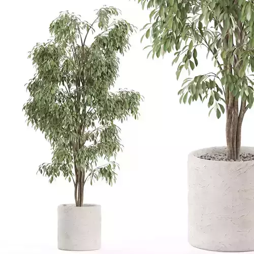 Plants collection 970 3D model