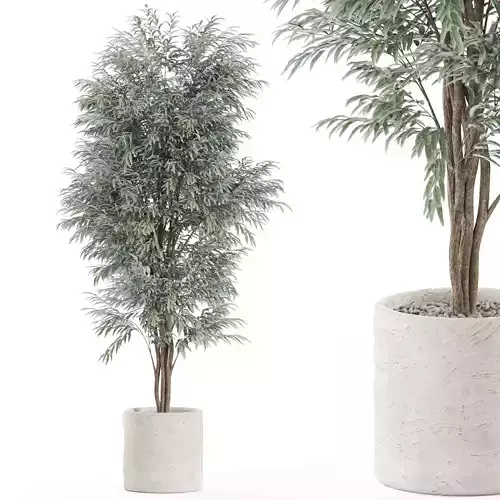 Plants collection 971 3D model