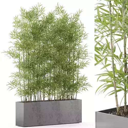 Plants collection 973 3D model